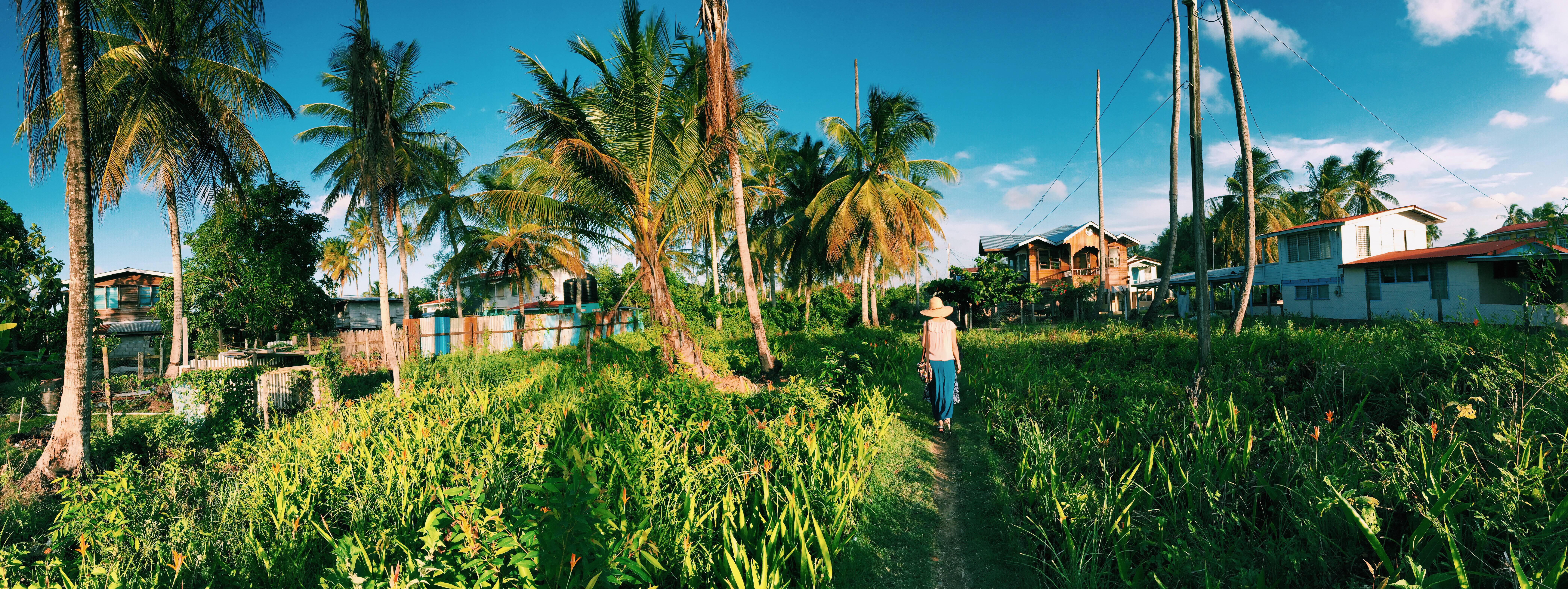 Village in rural Guyana